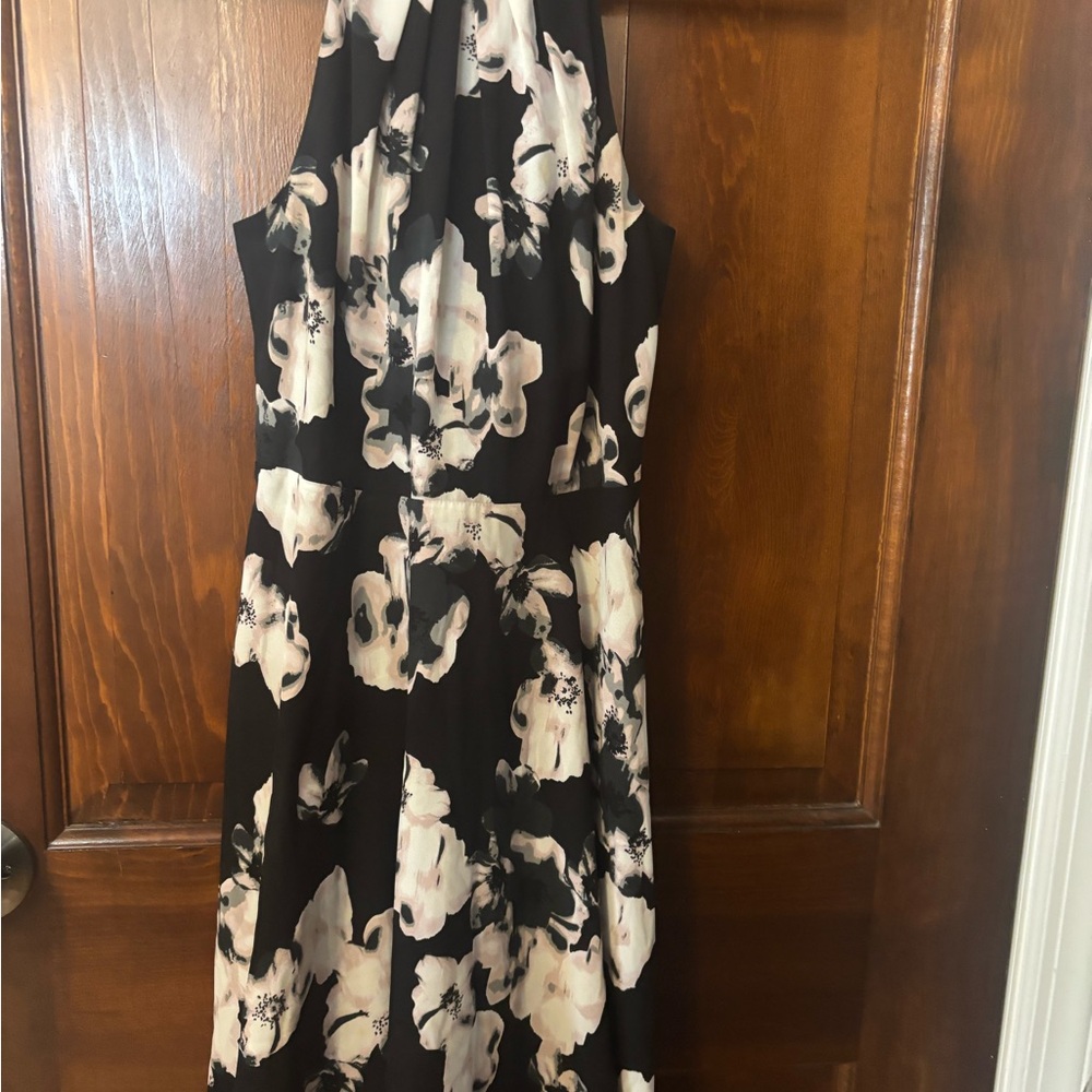 Express Floral Black and White Skater Dress